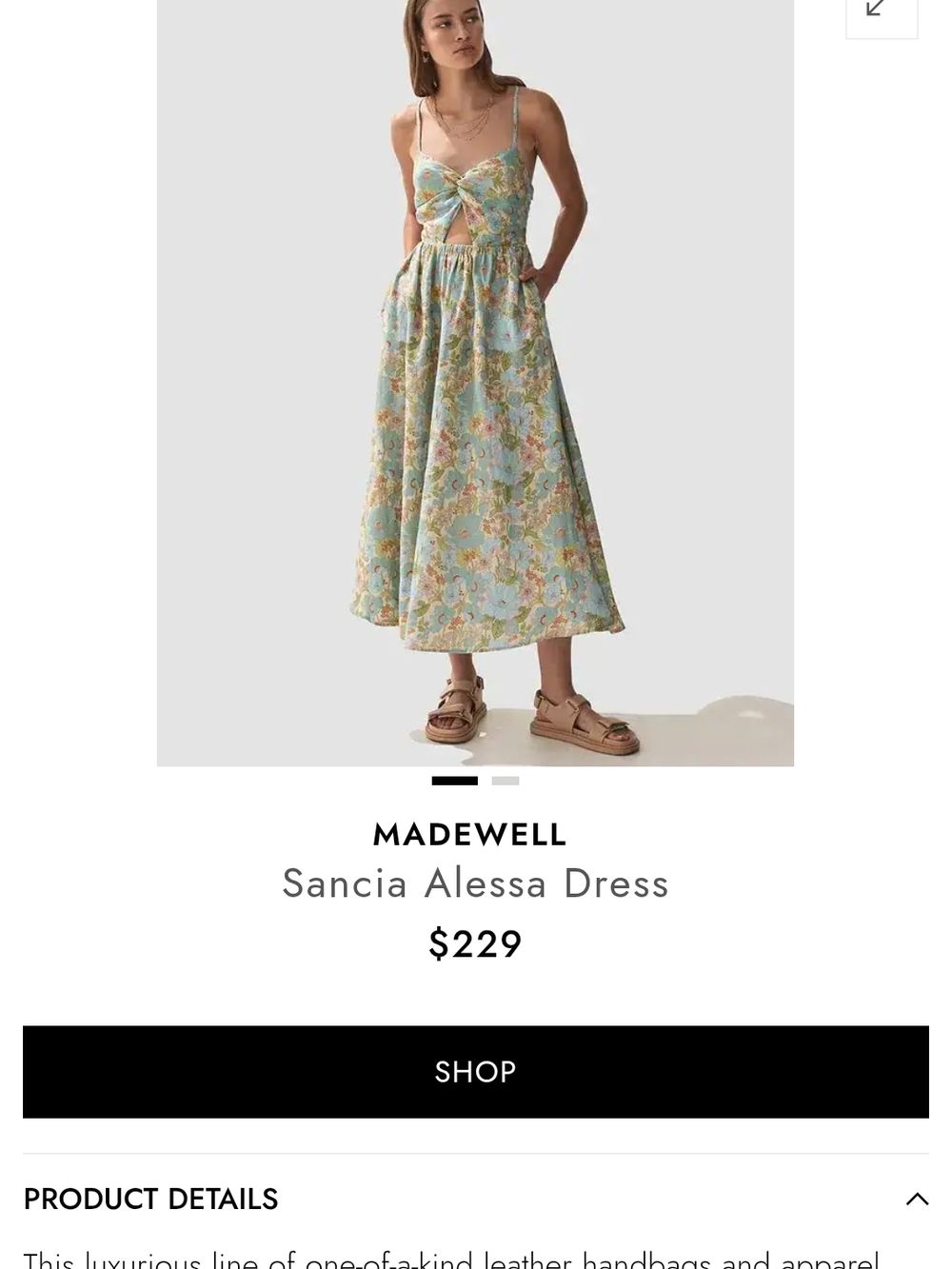 Madewell Sancia Alessa Floral Maxi Dress in Light Blue/Green